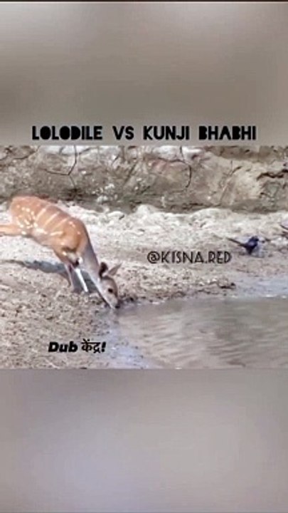 Very Funny Video And Comedy VIdeo