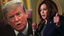 Copycat? Trump Claims Kamala Harris is Only Visiting US-Mexico Border Because of Him