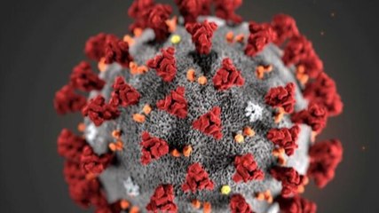 DIU video: Most dangerous Covid-19 variants