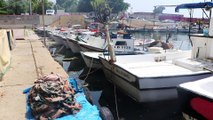TEKİRDAĞ - Tekirdağlı balıkçılar müsilaj nedeniyle denize ağ atamıyor