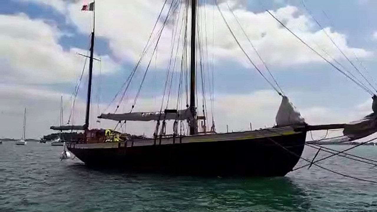 Le Lys Noir