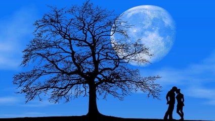 Relaxing Music Sleep | deep Sleep Music Collective Relaxing Sleep Music