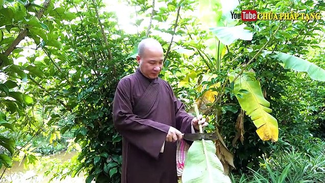 Zona - Giời Leo Sẽ Hết Ngay Với Bài Thuốc Đơn Giản Này Chùa Pháp Tạng - Lương Y. Thích Trí Huệ