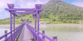 Corée du Sud : îles totalement peintes en violet, l’opération marketing pour attirer les touristes