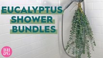 Eucalyptus Shower Bundles