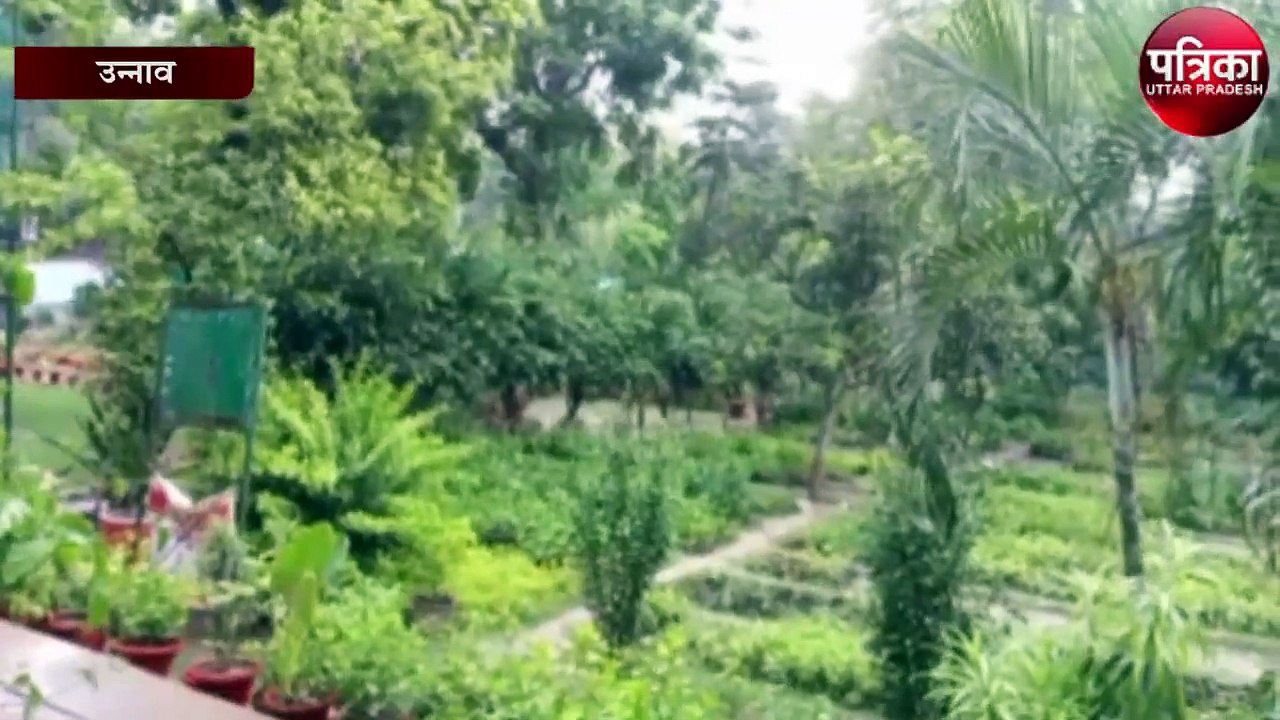 उद्यान विभाग की तरफ से 2 लाख 42 हजार पौधे लगाने...
