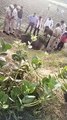 कुएं गिरे दो जंगली जानवर, निकालने के प्रयास तुलसीपुरा के समीप की घटना
