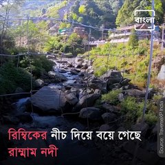 Wednesday Wanderers: Don't Miss Out On A Trip To Rimbick