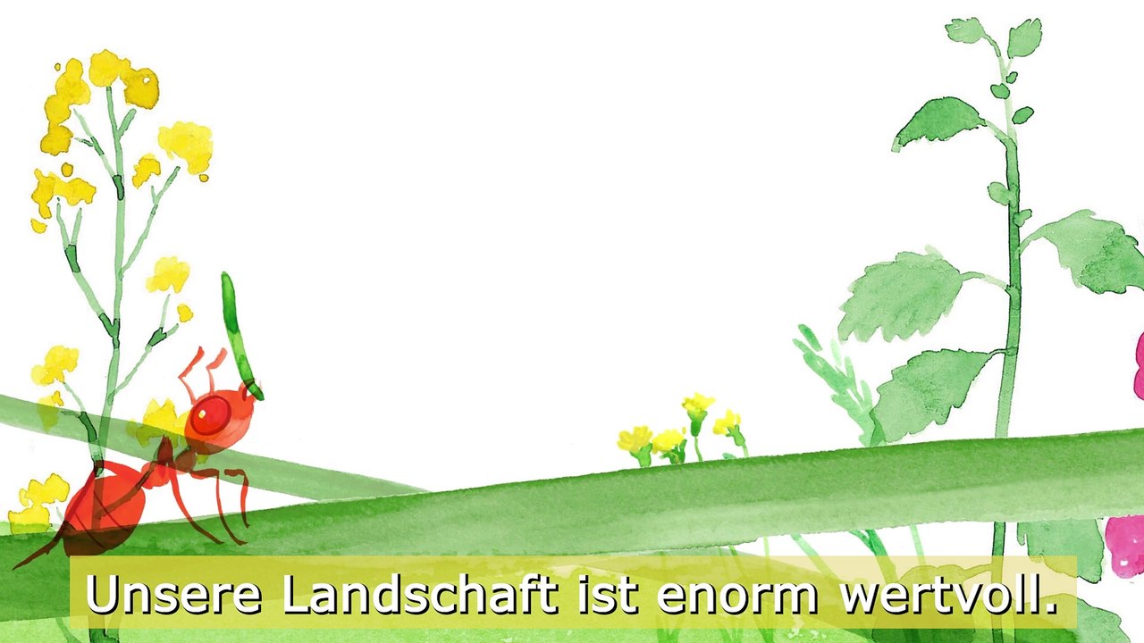 Landschaft ist für alle wichtig