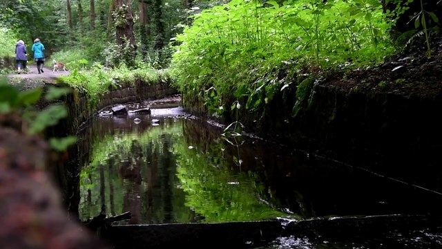 River Chor polluted once again