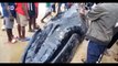 Stranded whale baffles Sierra Leoneans