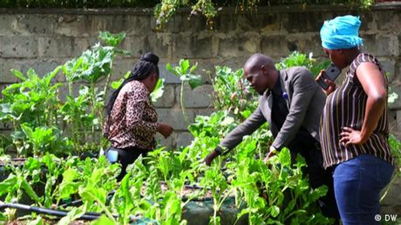 Creating spaces for vertical farming