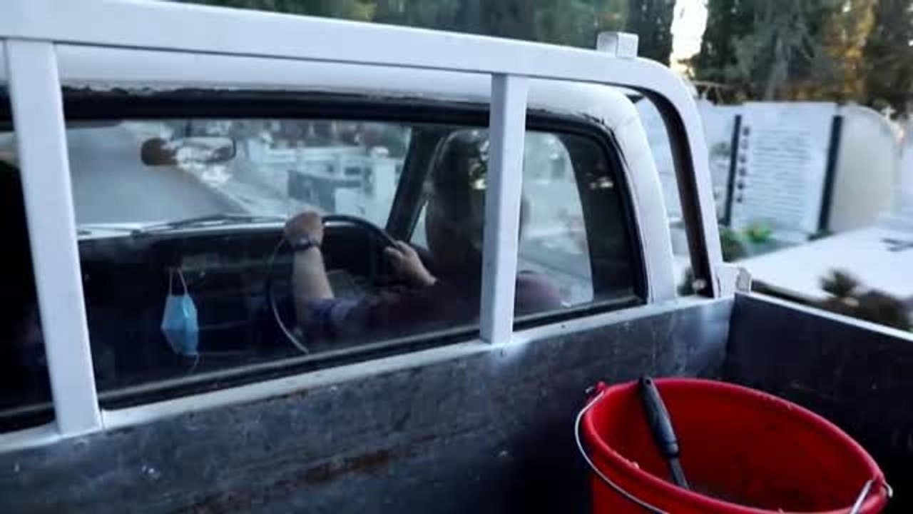 La superpoblación de gatos callejeros pone en jaque a Chipre