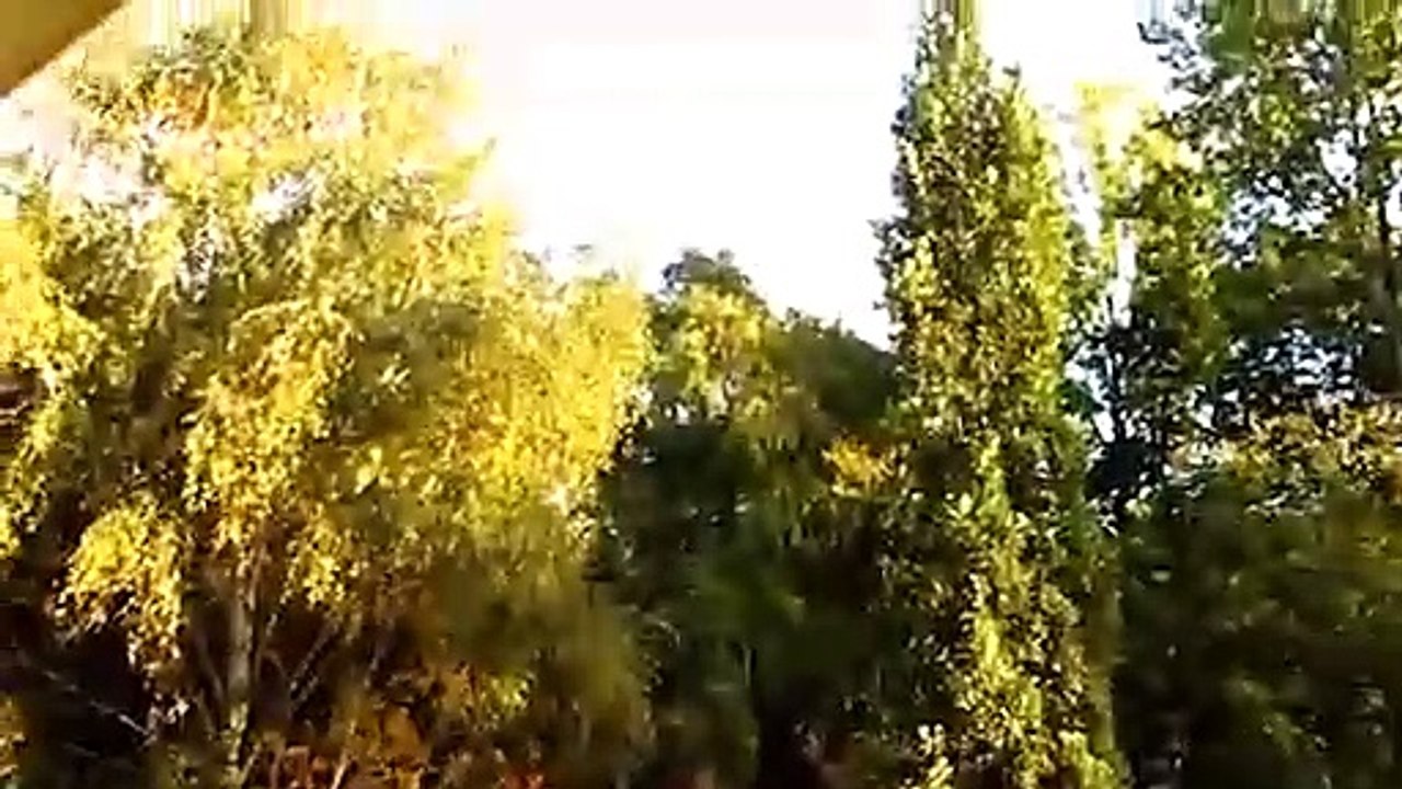 Harika bir kağıt uçak nasıl yapılır?