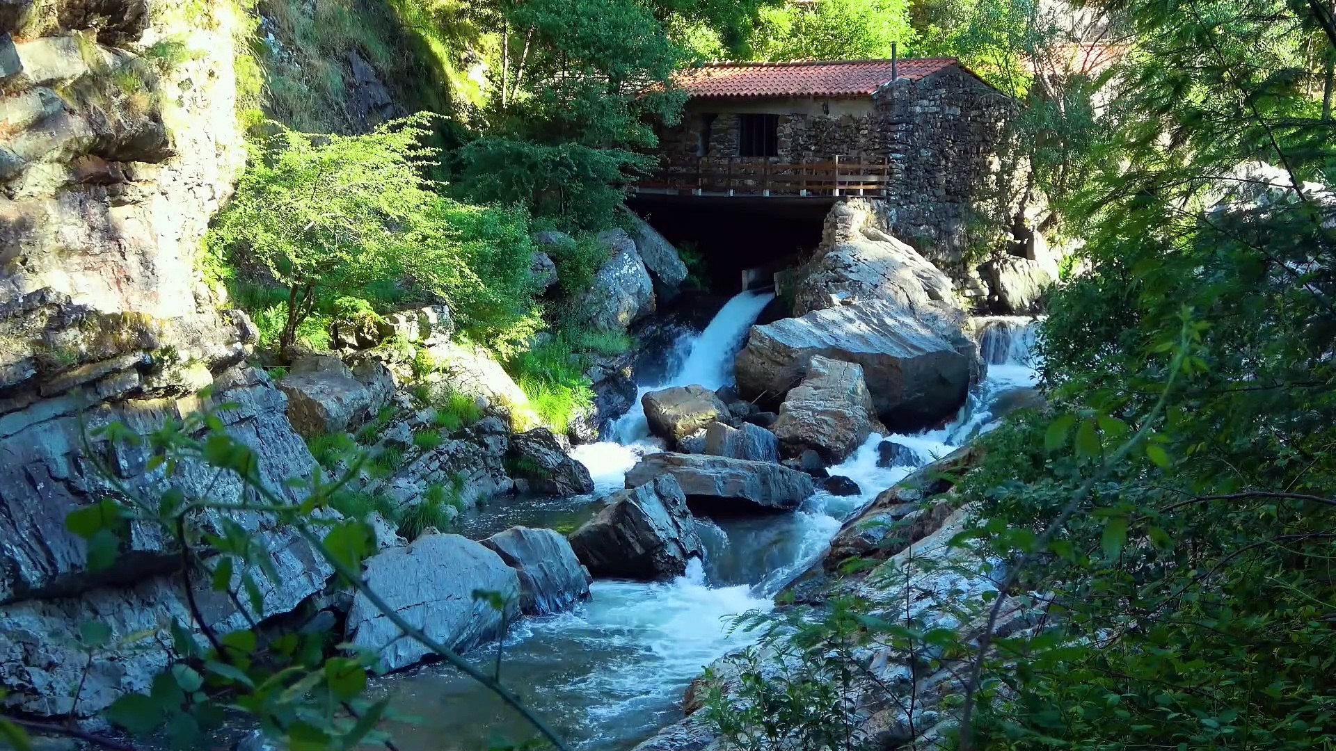 ⁣Water, waterfall, river and birds. Sound of nature to relax.