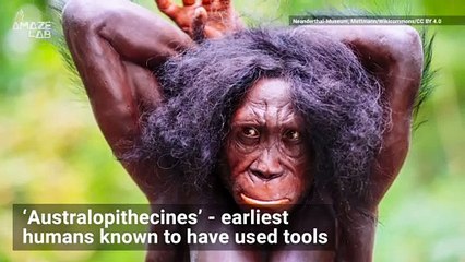 Before Opposable Thumbs, Did Early Humans Have Stone Tools?