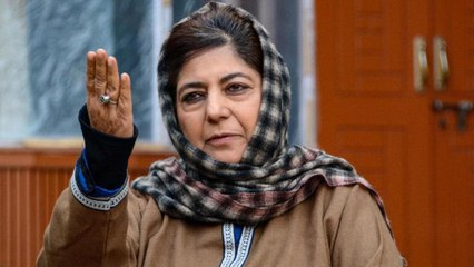 What PDP spokesperson replied on Mufti's Pakistan remark?