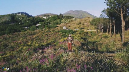 Vittorio Ricciardi - Vita Mia   -