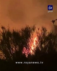 حريق كبير في أحراش جرش على طريق اربد عمان