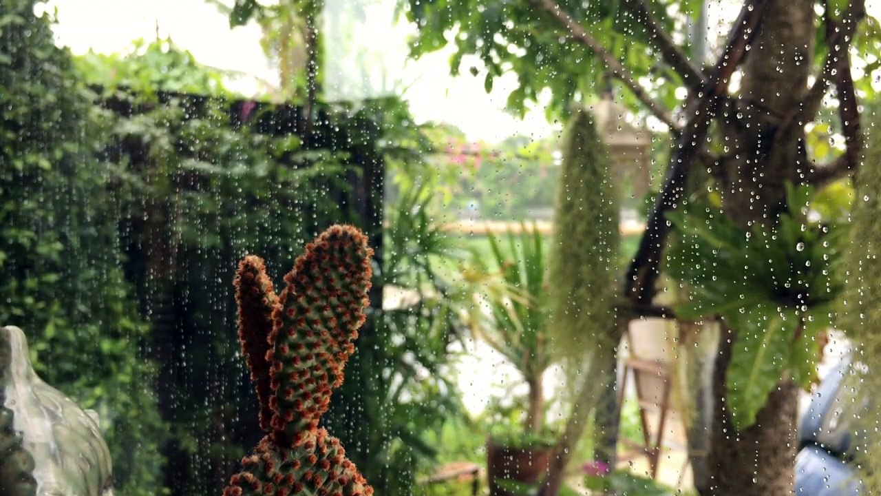 Mood Refreshing music