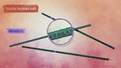 Evolution of the Corona Virus (Covid -19)