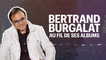 Bertrand Burgalat au fil de ses albums