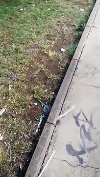 Andria: bidone pieno di rifiuti in villa comunale