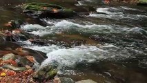 Música relaxante - Som de água de cachoeira para relaxar e diminuir a ansiedade