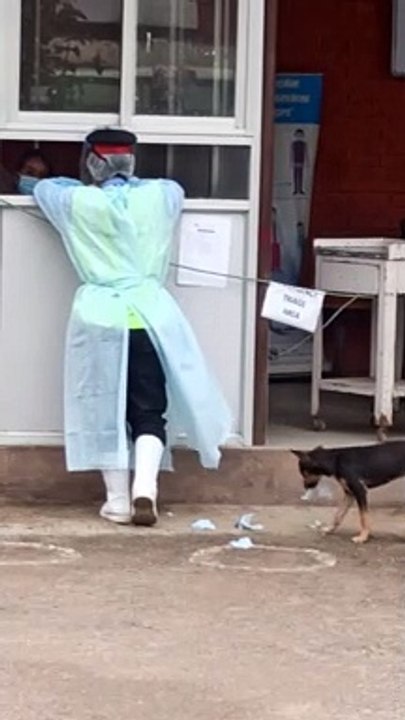 Attention Seeking Pup Tears at Lady's Rain Coat