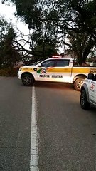 Árvore cai sobre carro na SC-402, em Florianópolis