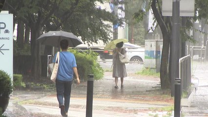 [날씨] 오후 내륙 곳곳 소나기...주말 흐리고 비 / YTN