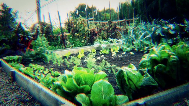 Las 5 Cosas Más Espeluznantes Encontradas En Jardines De Casas