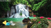 Waterfall Relax 1 Hours of Birds Singing, and Water Sounds,Nature Sound Relaxation,Relaxing Birdsong,