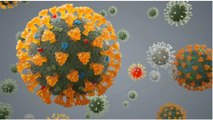 From Delta to Delta Plus: Understanding how virus mutations work