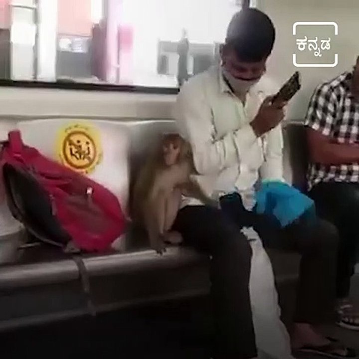 Video Of Monkey Travelling In Delhi Metro Train Goes Viral