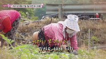 듣고 싶은 이름,춘희_엄마의 봄날 302회 예고 TV CHOSUN 210627 방송