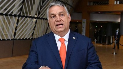 Rechazo a la ley LGBTQI de Hungría