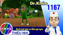 Dr. Khỏe - Tập 1167: Bạch truật giúp an thần ngủ ngon