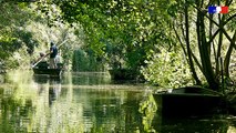 L'été à travers les paysages de la Nouvelle-Aquitaine