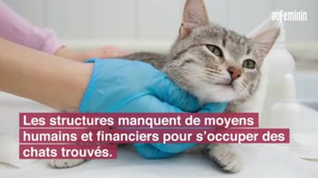 stériliser