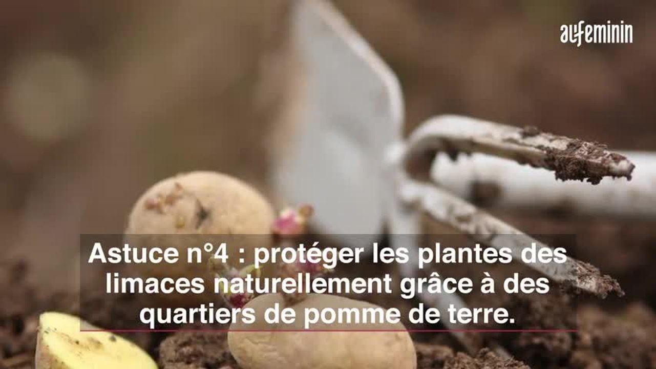 Jardinage : 7 astuces de pro