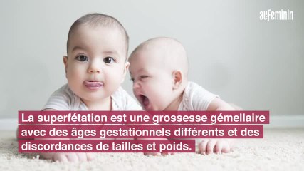 Le phénomène de la superfétation