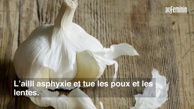 Poux : 8 remèdes naturels