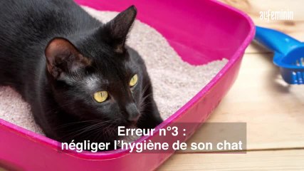 5 erreurs à éviter pour garder son chat en bonne santé
