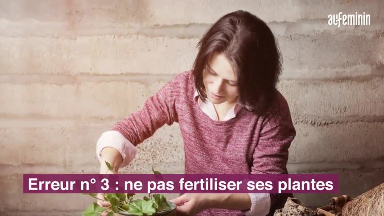 Plantes d'intérieur : les 6 erreurs les plus fréquentes