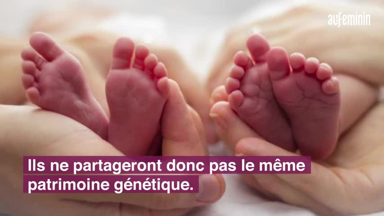 Faux jumeaux : quelles différences avec les vrais