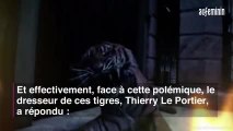 Les tigres de « Fort Boyard » drogués pour les...