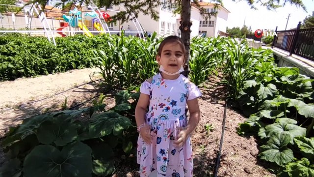 İlkokul öğrencileri yerli tohumla 16 çeşit sebze üretiyor