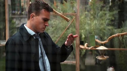 Profesor T -  Tráiler VO