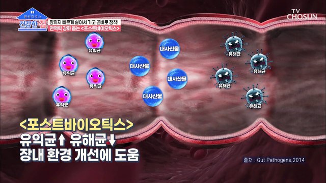유익균↑ 장내 환경 개선에 도움 주는 『포스트바이오틱스』 TV CHOSUN 20210628 방송